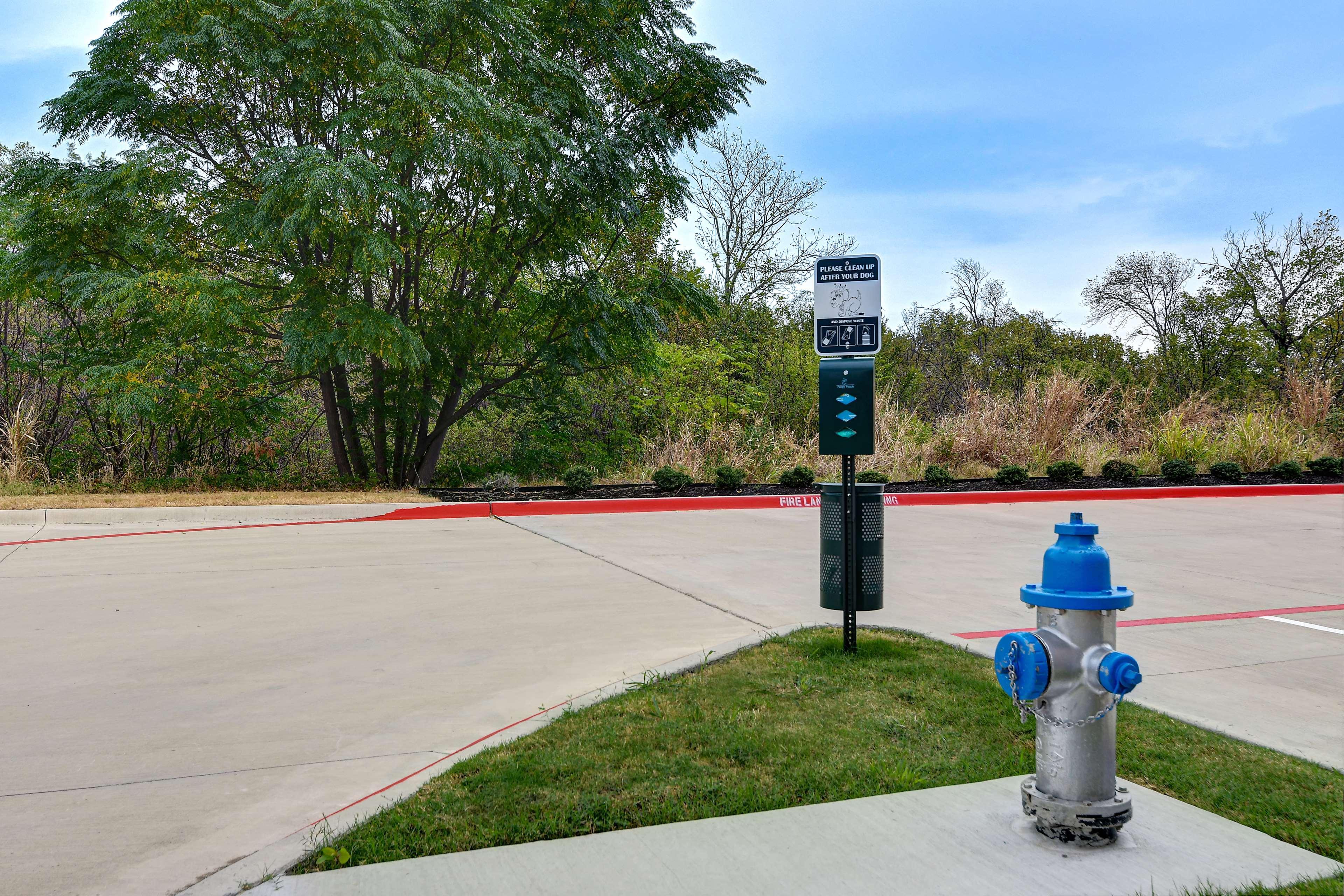 Home2 Suites By Hilton North Plano Hwy 75 Exteriér fotografie